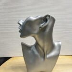 Претходната Слика За Производот