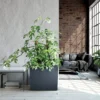 Жардиниера - Urbi Case T Flowerpot Anthracite