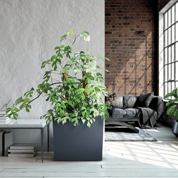 Жардиниера - Urbi Case T Flowerpot Anthracite